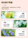 영국 룸 플러스 샴푸 샤워 젤 여행용 작은 샘플 세트 휴대용 B & B 호텔 용품 세면 도구 세트의 그림