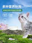 콴푸 고양이 염소 분유의 그림