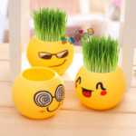 크리에이티브 사무실 화분 긴 잔디 머리 인형 멋진 표현 DIY 유리 병 음이온 미니 심기 선물의 그림
