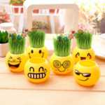 크리에이티브 사무실 화분 긴 잔디 머리 인형 멋진 표현 DIY 유리 병 음이온 미니 심기 선물의 그림