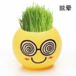 크리에이티브 사무실 화분 긴 잔디 머리 인형 멋진 표현 DIY 유리 병 음이온 미니 심기 선물의 그림