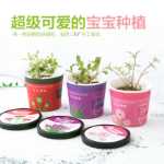 크리 에이 티브 미니 녹색 화분 사무실 작은 식물 심기 데스크탑 아기 DIY 녹지 오프닝 선물 K의 그림